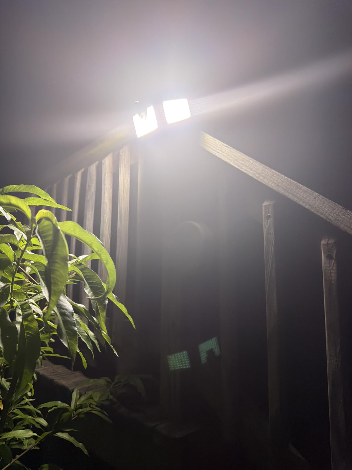 daphino 2500LM Solar Lights, Motion Sensor Outdoor Lights, 3-Head, 2 Pack customer photo 1