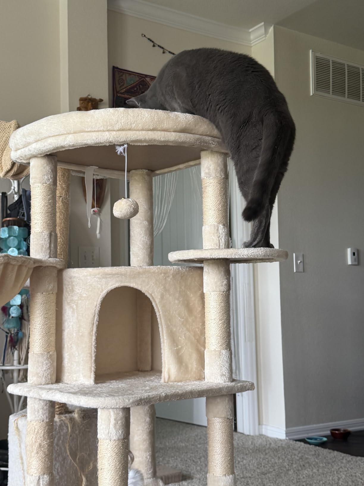 Globlazer 66inch Corner Cat Tree Tower for Indoor Large Cats, C66, Beige customer photo 1