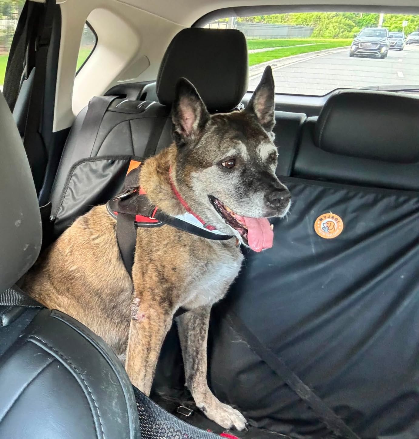 Hard Bottom Dog Car Seat Cover for Back Seat, PU Leather Dog Seat Extender customer photo 2