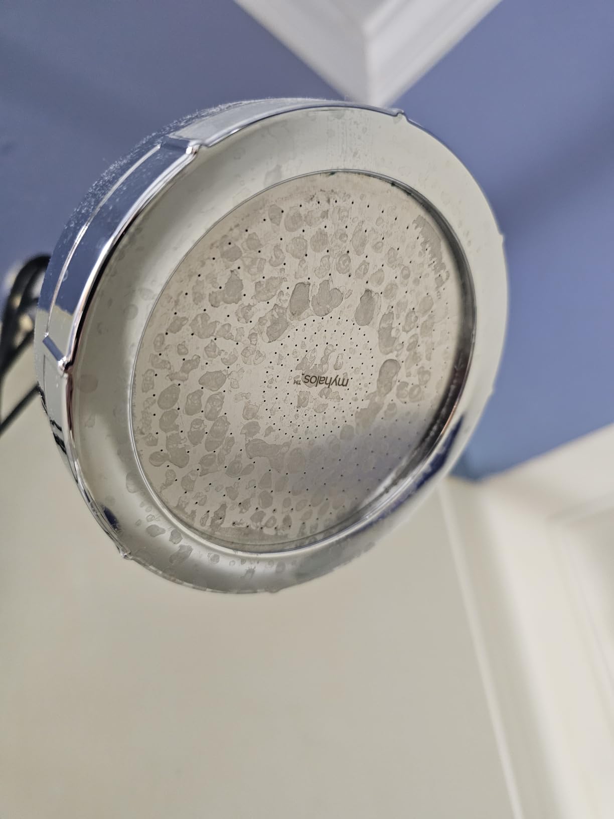 MyHalos® Filtered Shower Head, Shower Head Filter for Hard Water (Chrome) customer photo 2