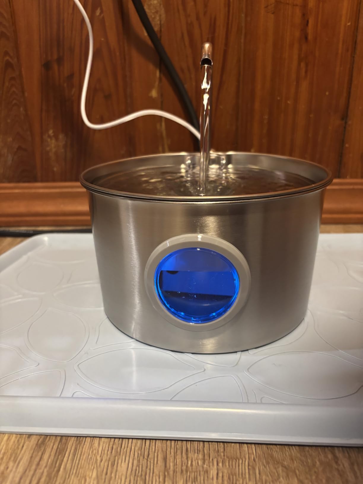 Cat Water Fountain Stainless Steel: 74oz/2.2L Cat Fountain for Drinking - Pet Water Fountain for Cats Inside - Quiet Cats Water Bowl Dispenser - Kitty Drinking Fountains - for Pets& Small Animals customer photo 2
