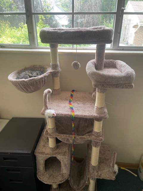 Gitelsnour Tall Cat Tree Tower for for Multiple Cats, Large Condo, GCT031G customer photo 2