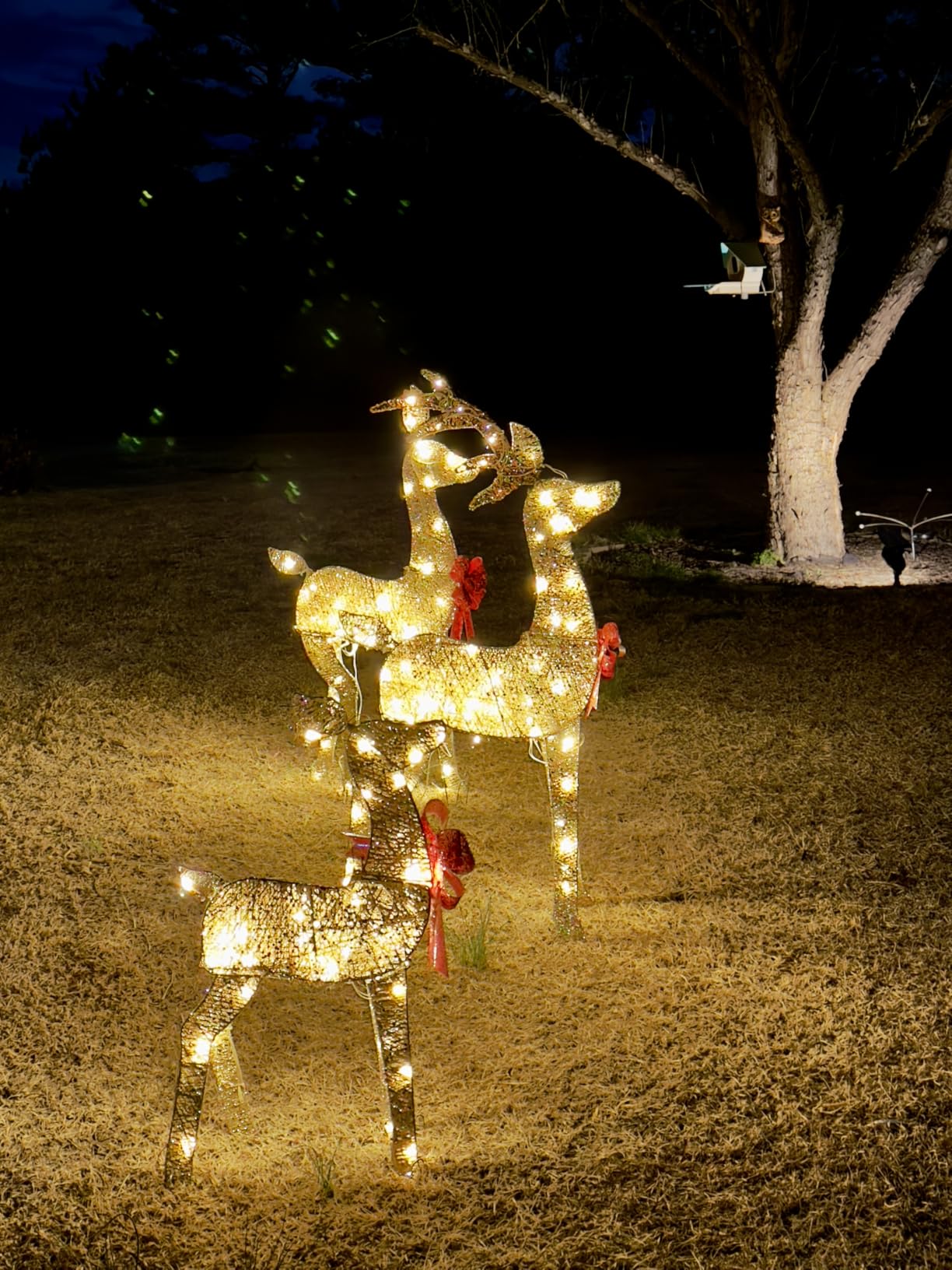 3-Piece 2D Lighted Christmas Deer Family Set - HOYECHI Large Outdoor Yard Reindeer Holiday Decoration with 145 LED Lights, Stakes, Zip Ties - Gold customer photo 2