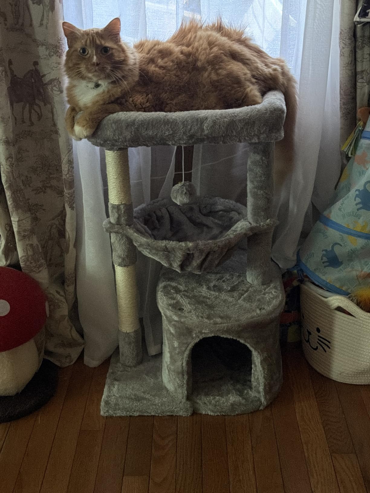 SYANDLVY Small Cat Tree for Indoor Cats, Activity Cat Tower with Scratching Post for Kittens, Modern Cat Furniture with Basket & Hanging Ball for Play Rest, Grey customer photo 1