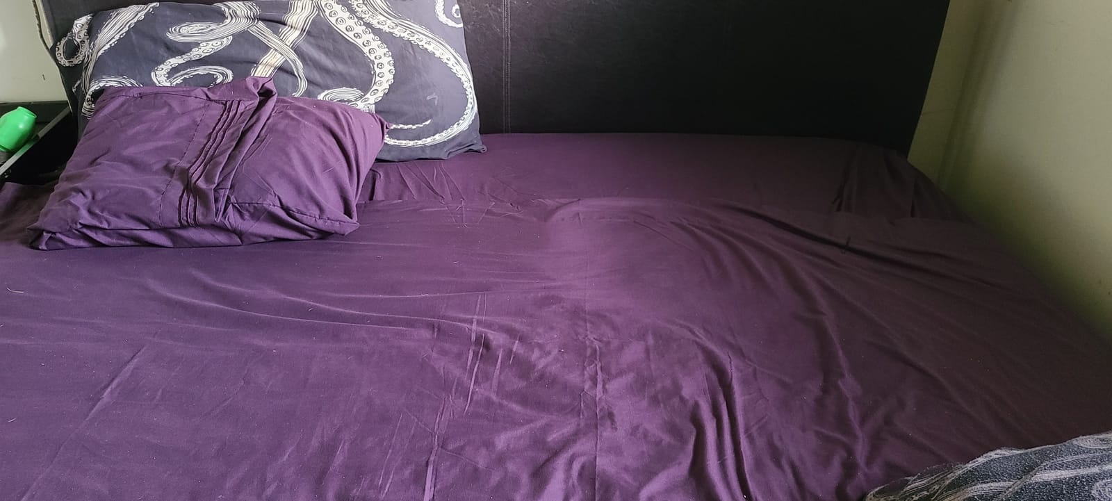 Elegant Comfort 4-Piece Bed Sheet Set - Luxury Bedding 1500 Premium Hotel Quality Microfiber, All Around Elastic 18-24 Inches Deep Fitted Sheet- Extra Deep Pocket Sheets, King, Brown customer photo 2