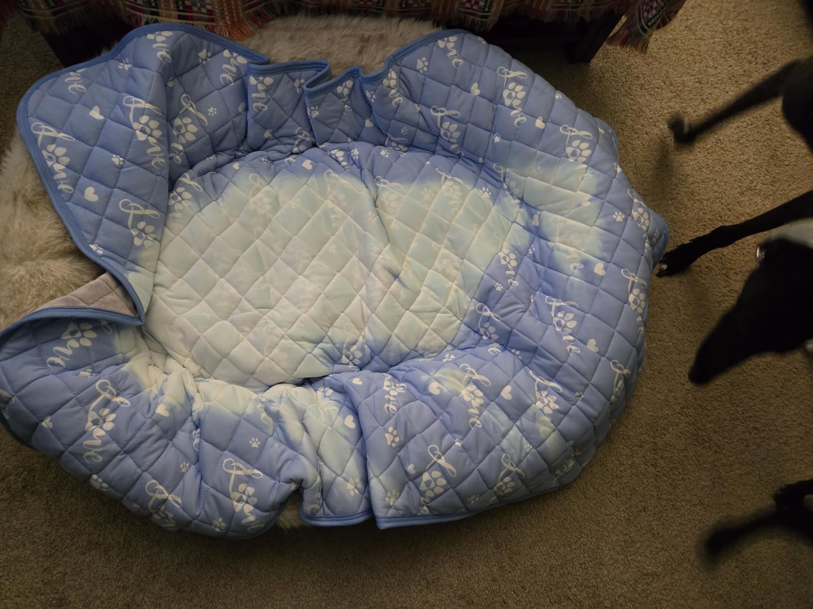 Dog Cooling Mat 36