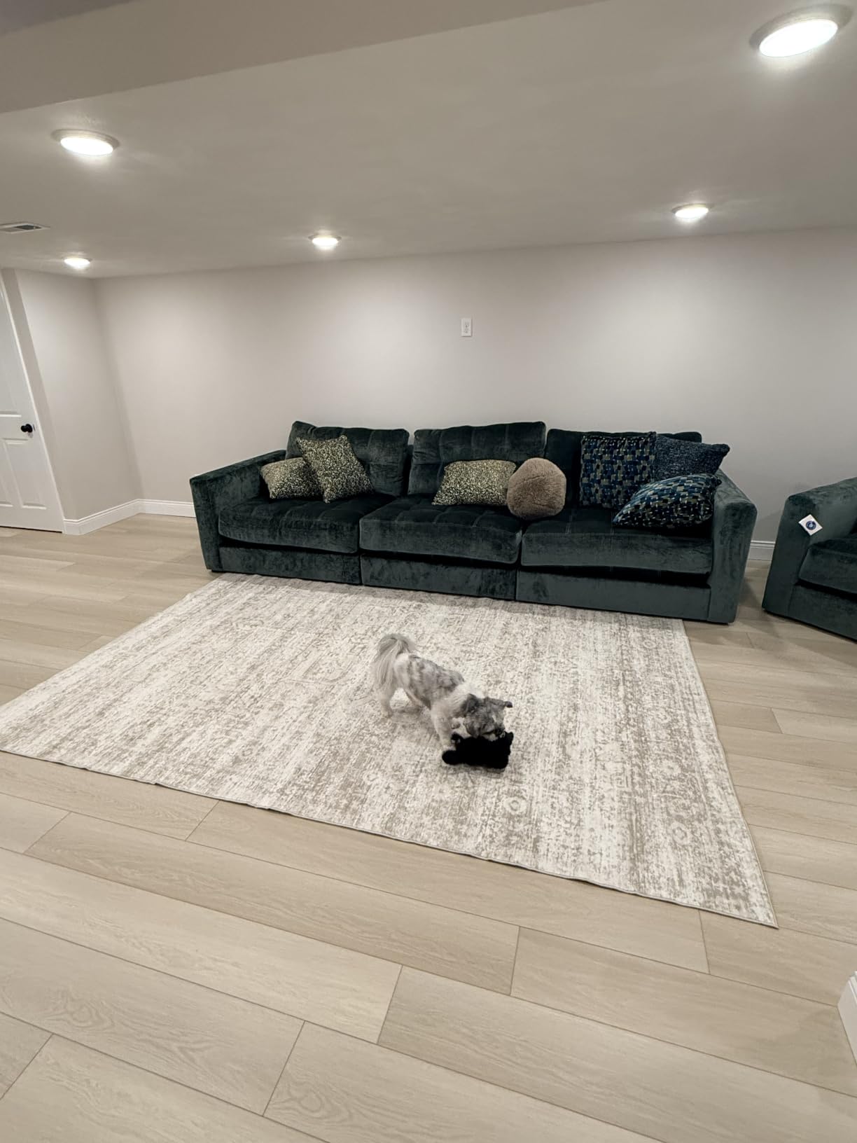 Washable Rugs 5x7 Area Rugs for Living Room,Bedroom,Dining Room Carpet customer photo 2