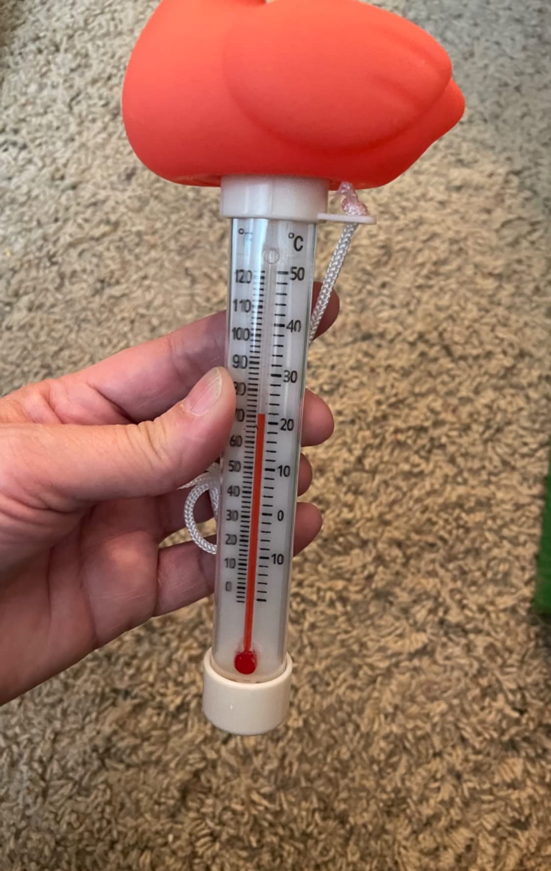 XY-WQ Flamingo Floating Pool Thermometer with String, Easy-Read customer photo 2