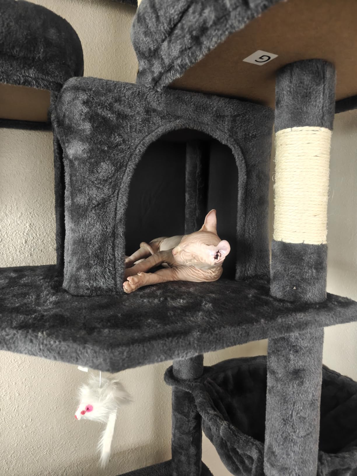 Globlazer Cat Tree Tower for Multiple Adult Cats, 82in, F82, Dark Grey customer photo 2