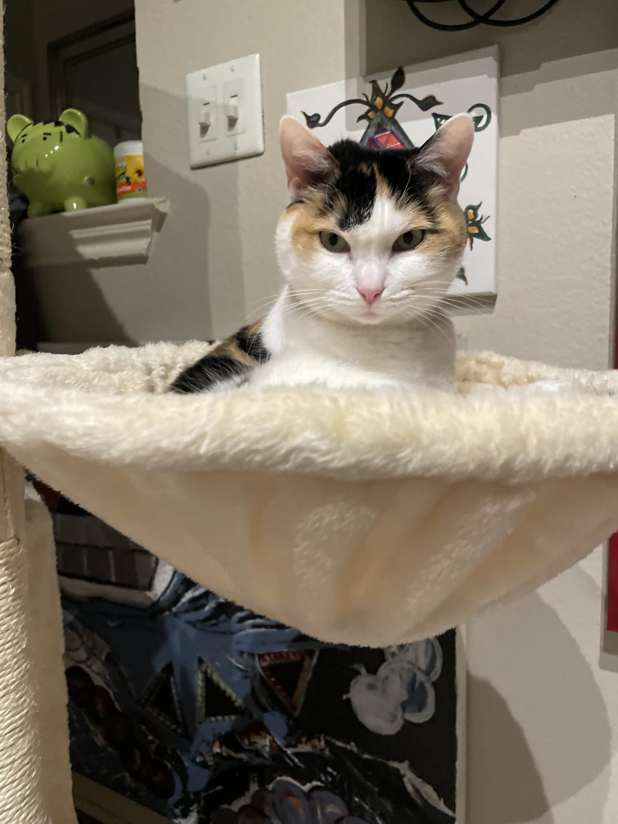 PAWZ Road 26”Cat Tower Cactus Cat Tree for Small Space customer photo 1