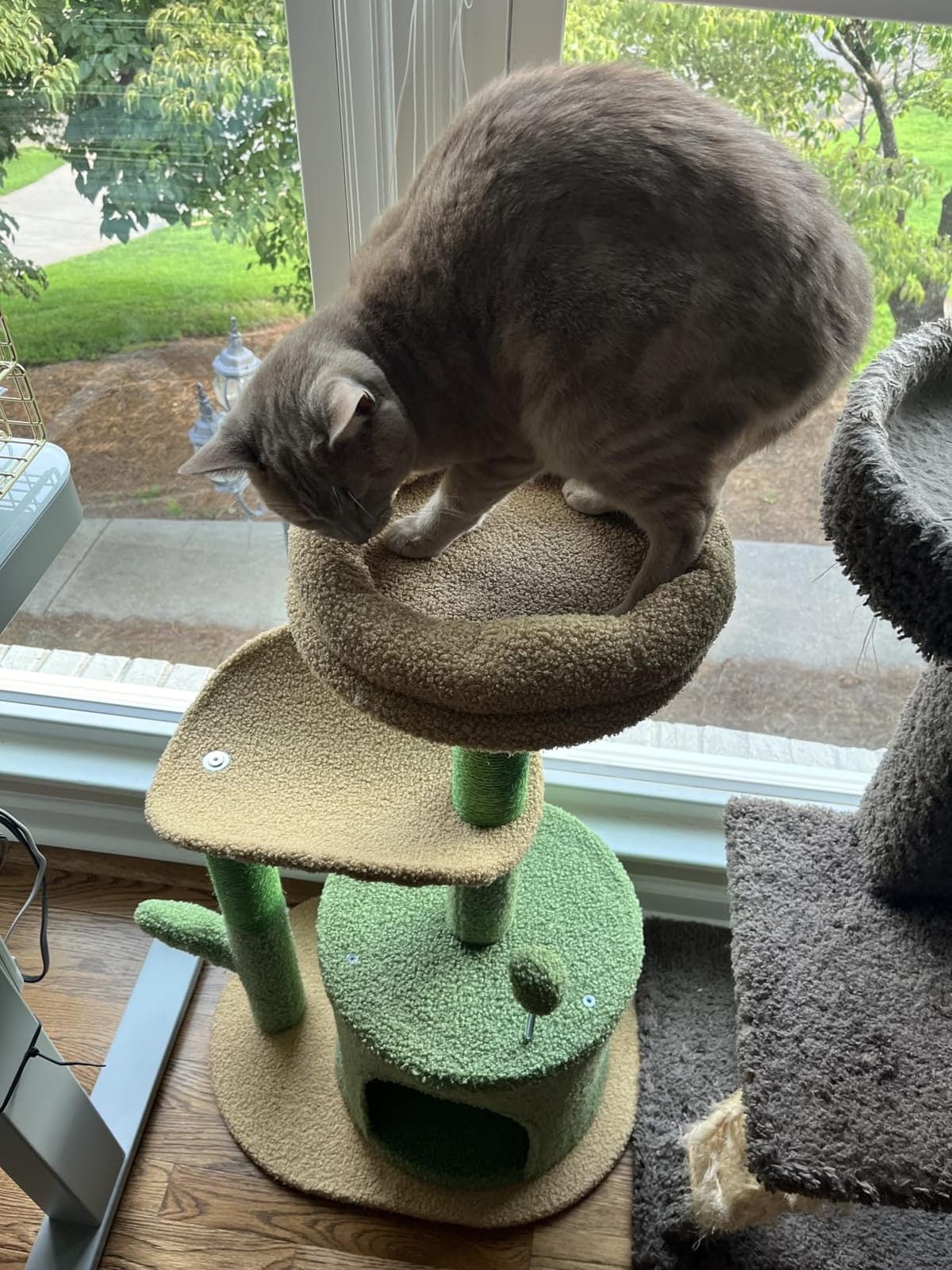 PAWZ Road 26”Cat Tower Cactus Cat Tree for Small Space customer photo 2