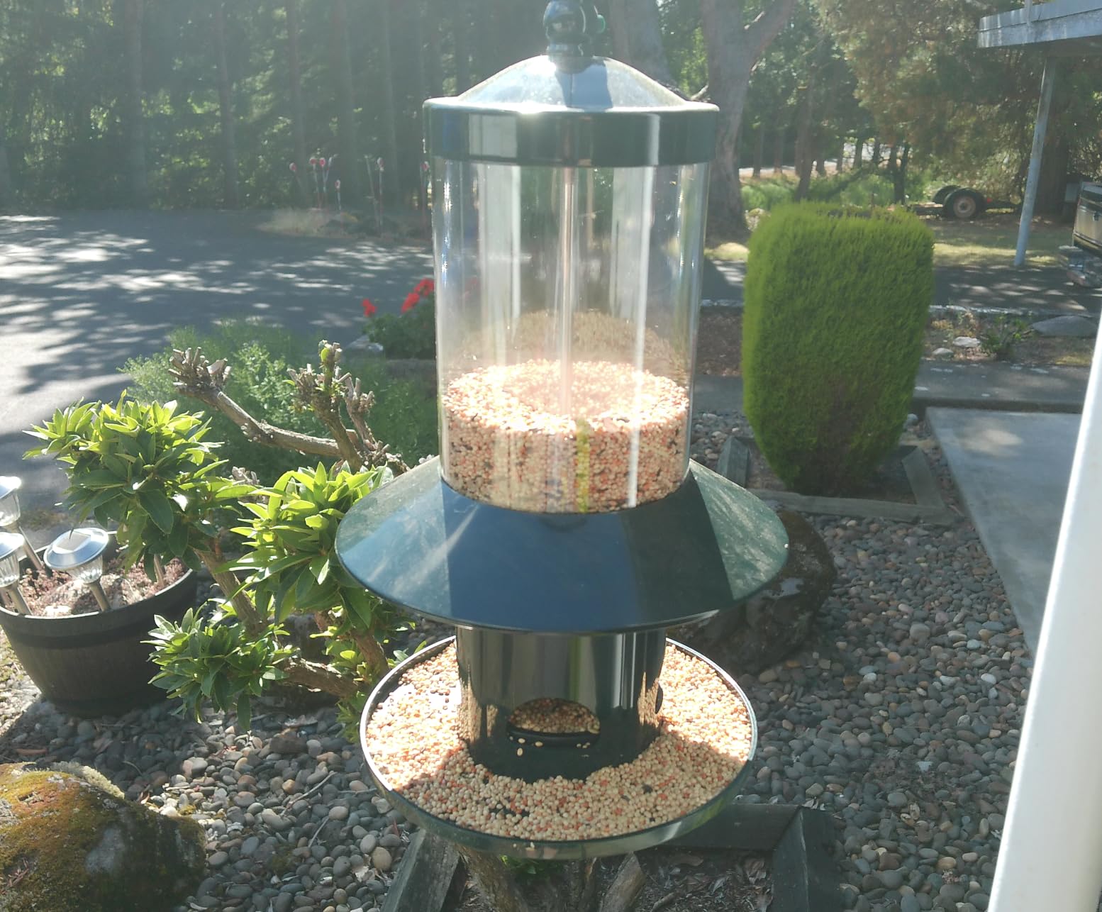 Squirrel Proof Bird Feeder - 360° Feeding Perch Tray for Outdoor Hanging Wild Bird Seeds, Dark Green. customer photo 2