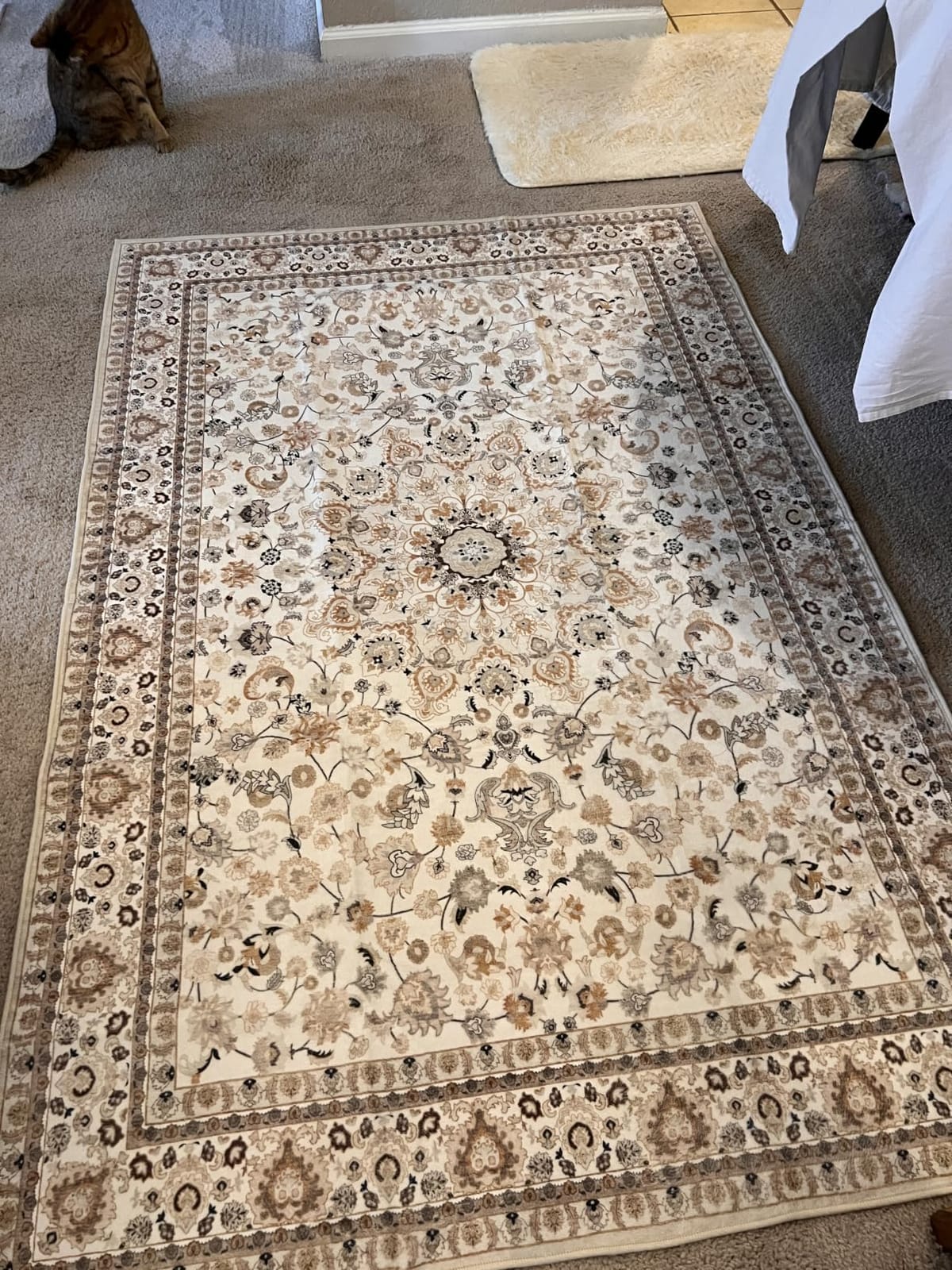 5x7 Area Rugs Living Room: Washable Vintage Rug for Bedroom Beige customer photo 1
