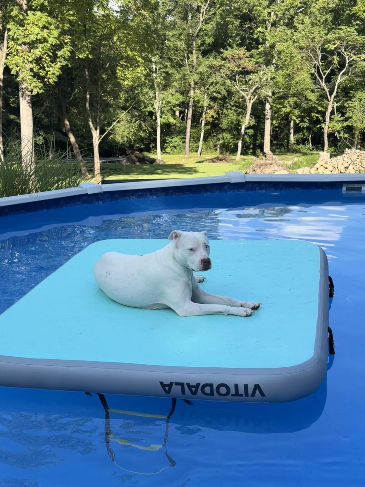 Inflatable Floating Dock, Water Island Float Raft Mat with Non-Slip Surface, 5FT/8FT/10FT Air Deck Platform, 6 Inch Thick for Pool, Lake, River, Beach, Ocean customer photo 2
