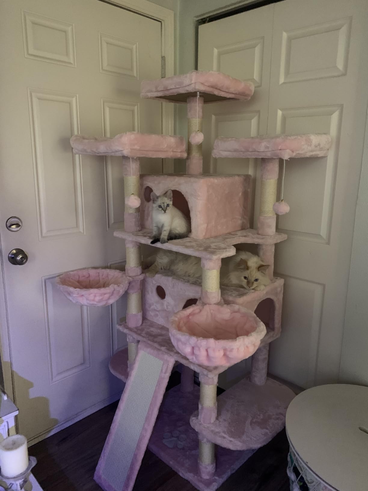 SHA CERLIN 81 Inches Extra Large Cat Tree for Indoor Adult Cats/XXL Big Cat Tower with Condo/Cozy Perches/Sisal Scratching Posts and Hammocks/Activity Center/F80/Heavy Duty/Leopard Print customer photo 1