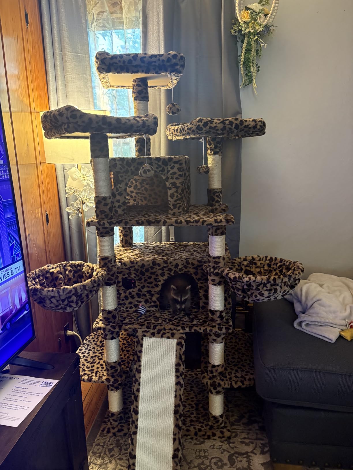Allewie 82 Inches Large Cat Tree/House/XXL Tall Cat Towers for Big Feline/Scratching Post/Multi-Level Large Kitty Climbing Tree with Condo/Smokey Grey customer photo 1