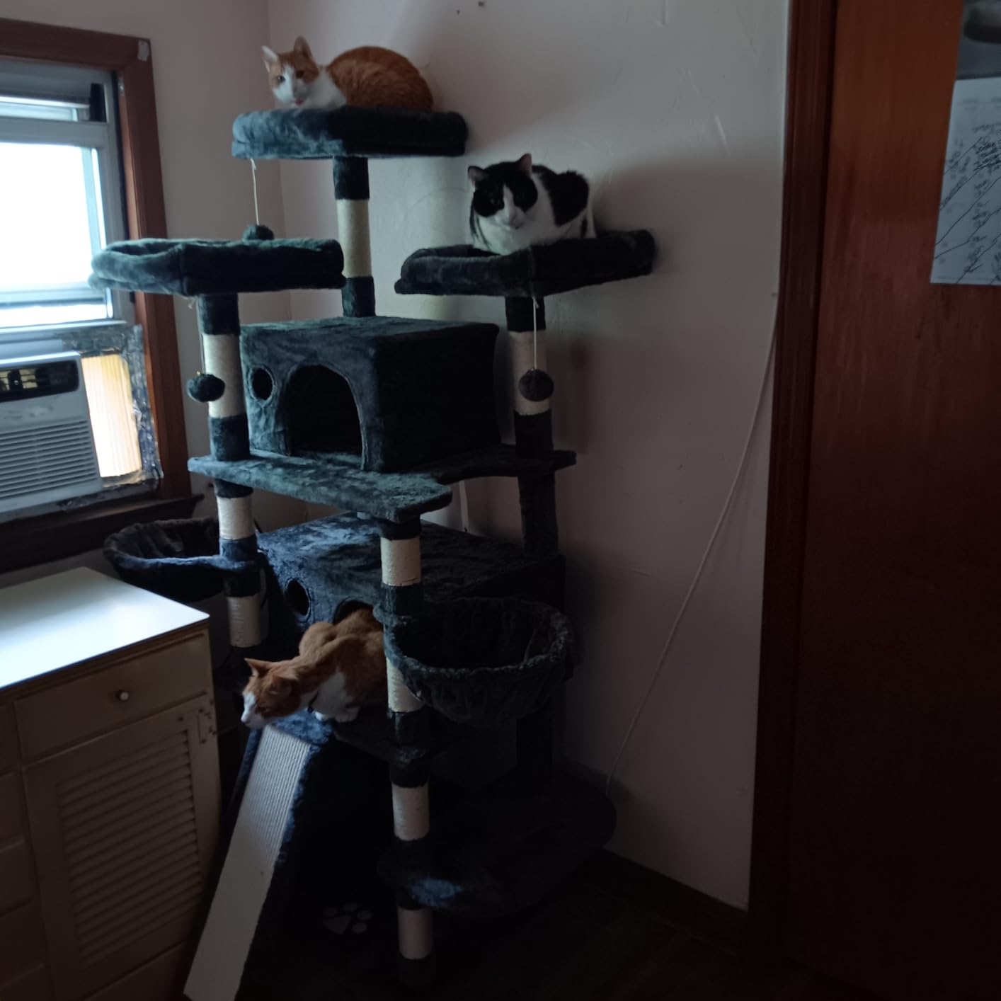 Allewie 82 Inches Large Cat Tree/House/XXL Tall Cat Towers for Big Feline/Scratching Post/Multi-Level Large Kitty Climbing Tree with Condo/Smokey Grey customer photo 2