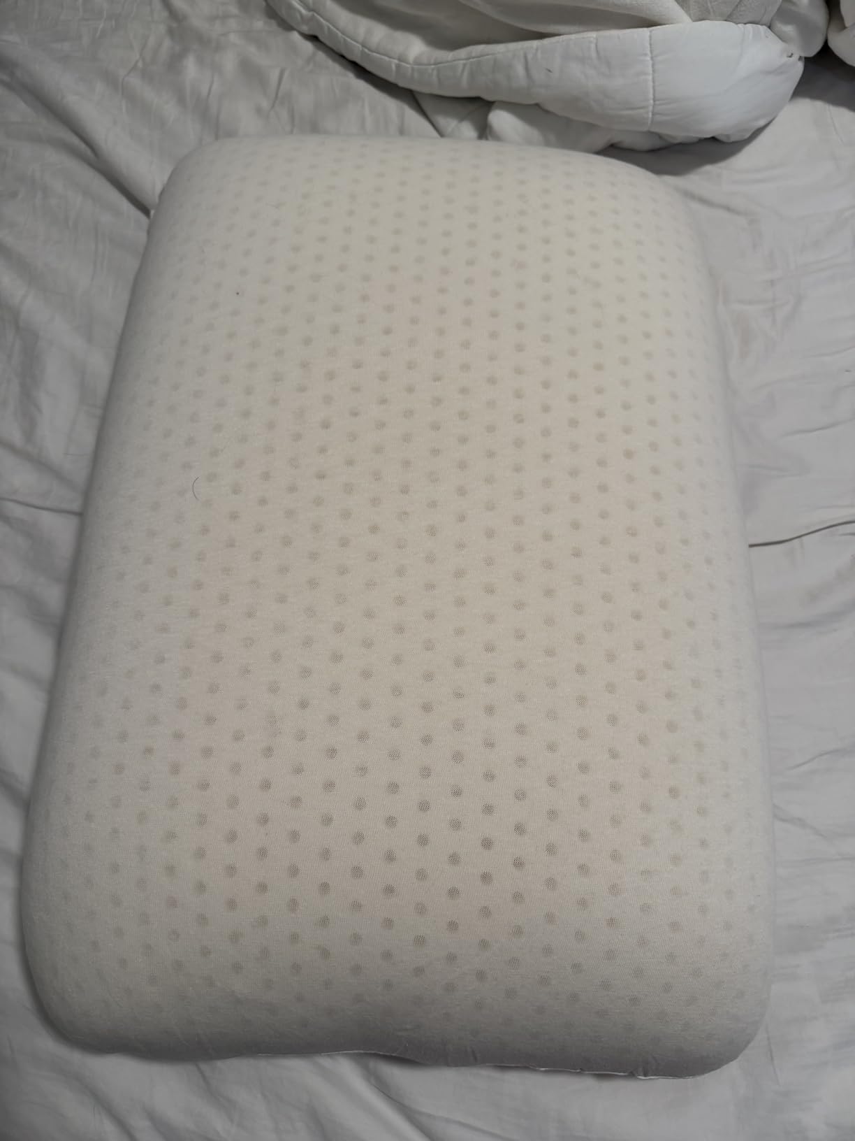 100% Natural Talalay Latex Pillow for Sleeping with Removable Cotton Cover, Premium Soft Bed Pillow Helps Relieve Pain and Pressure, Suitable for Side Back or Stomach Sleepers (Queen, Soft 6.2'' H) customer photo 2