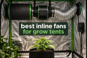 best inline fans for grow tents
