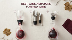 best wine aerators for red wine