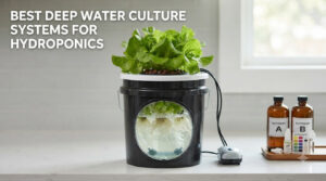 best deep water culture systems for hydroponics