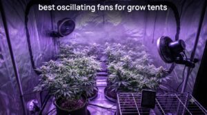best oscillating fans for grow tents