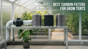best carbon filters for grow tents