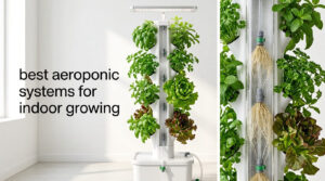 best aeroponic systems for indoor growing