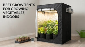 best grow tents for growing vegetables indoors