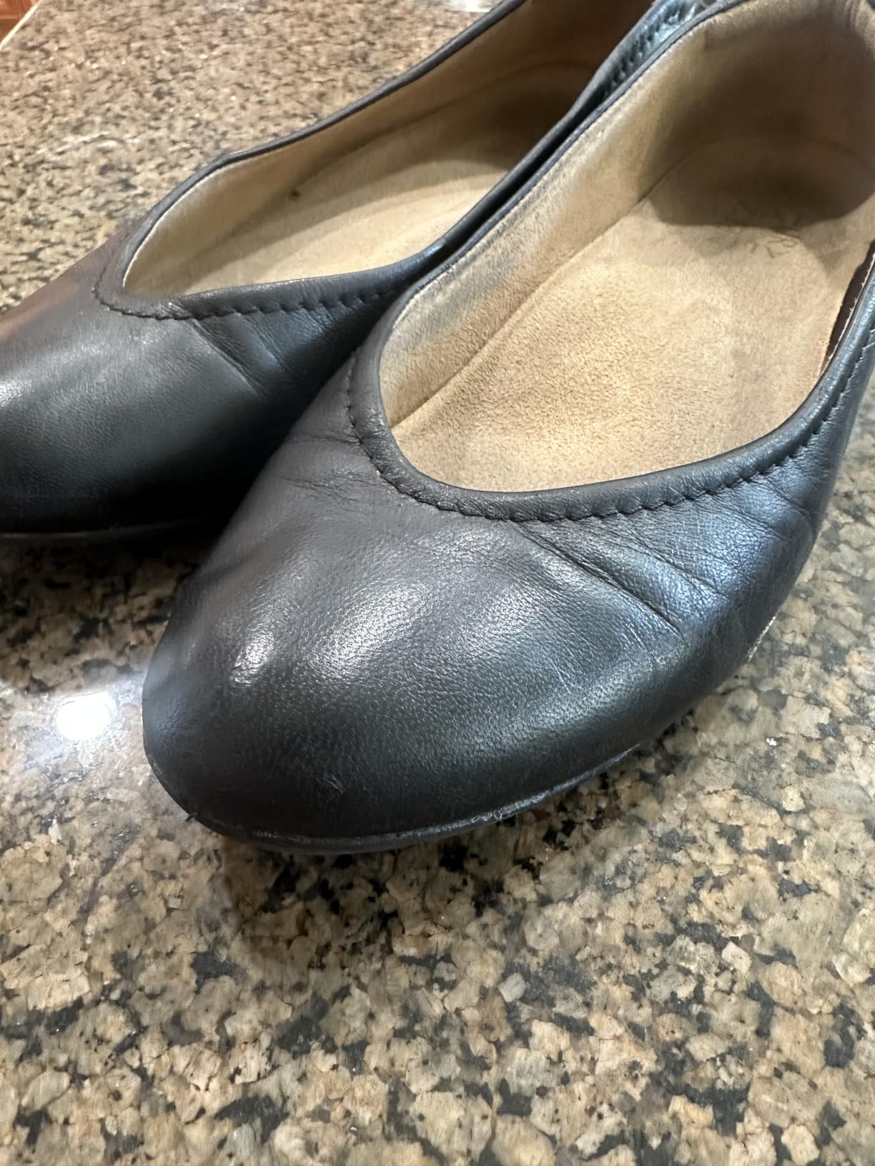 RED MOOSE Boots and Shoe Cream - Shoe Polish Kit for Leather - Shoes Shine - Made in the USA customer photo 1