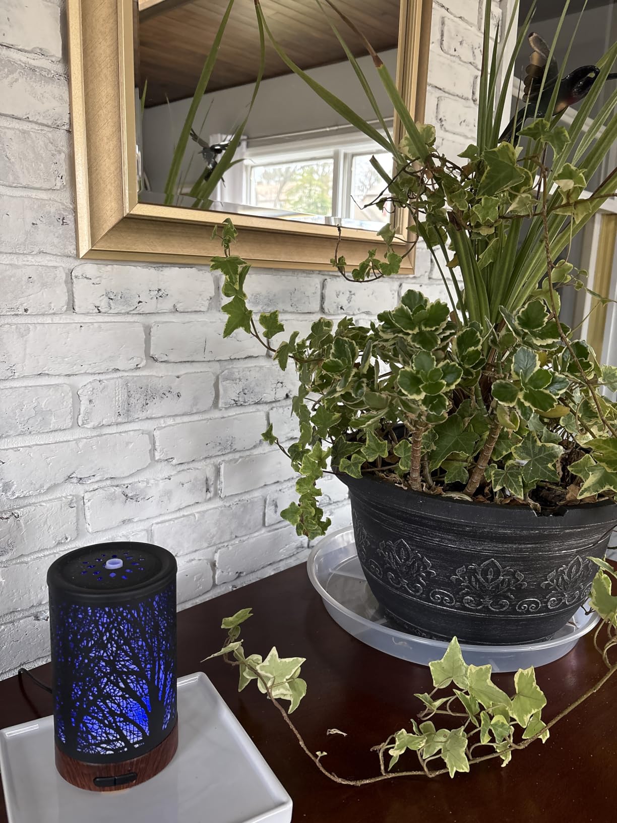 EQUSUPRO Essential Oil Diffuser for Home Fragrance & Aromatherapy customer photo 1