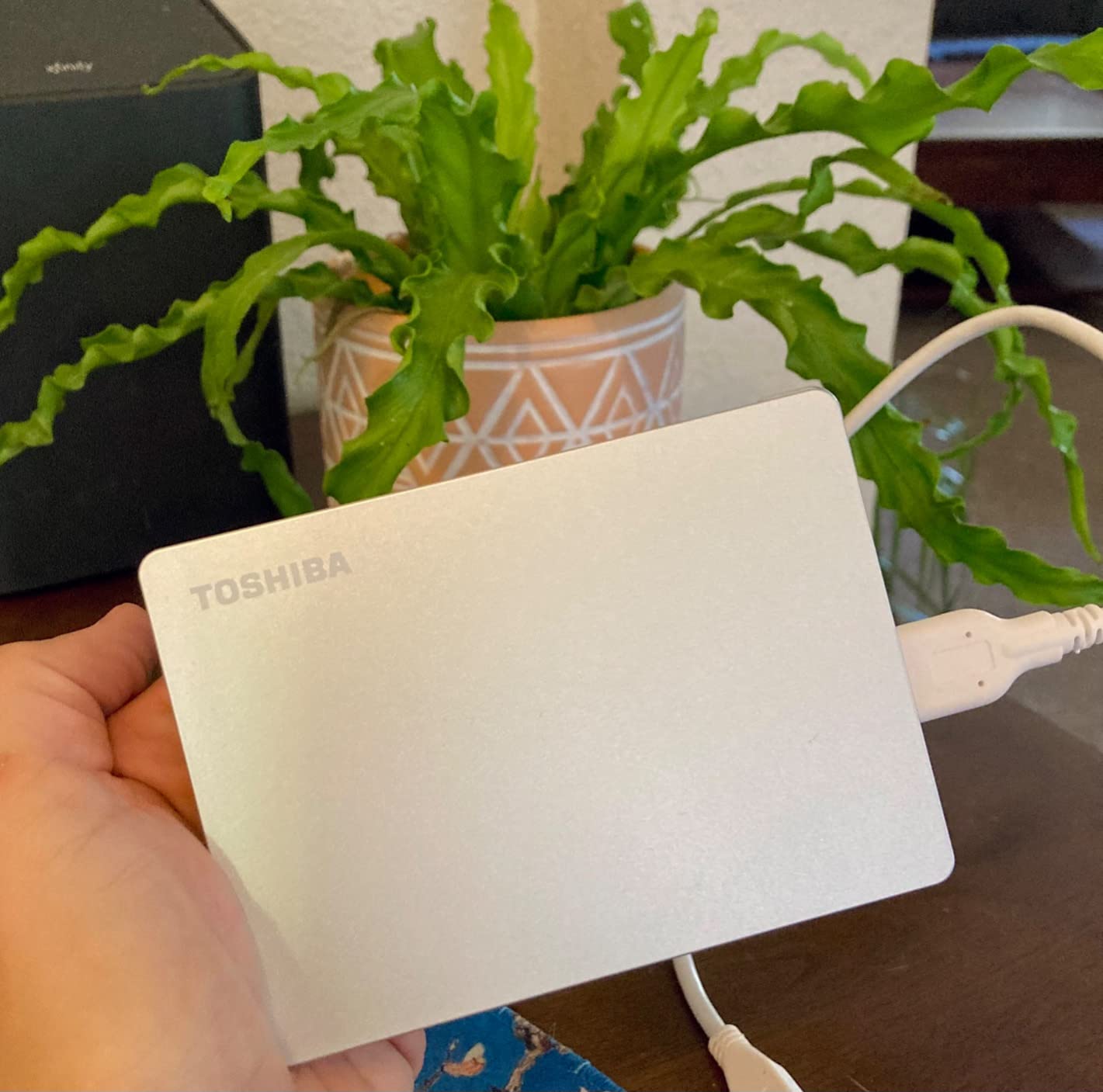 Toshiba Canvio Flex 1TB Portable External Hard Drive USB-C USB 3.0, Silver for PC, Mac, & Tablet - HDTX110XSCAA customer photo 1