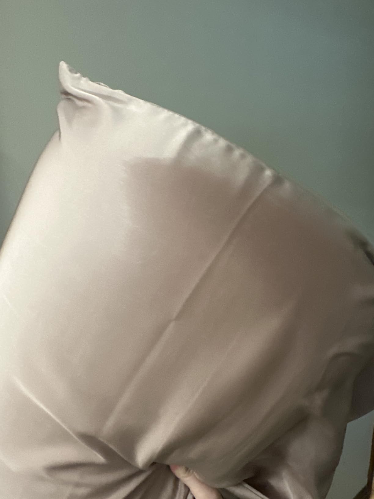 Mulberry Silk Pillowcase for Hair and Skin Standard Size 20