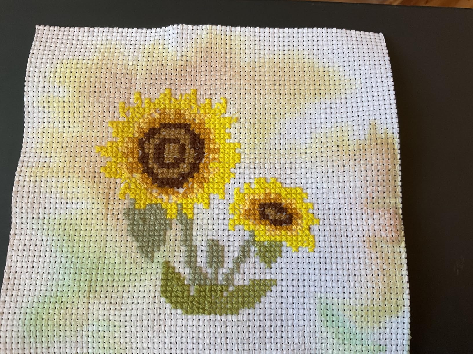 Stamped Cross Stitch Kits for Beginners Adults, Rose Poppy Pansy Sunflower customer photo 2
