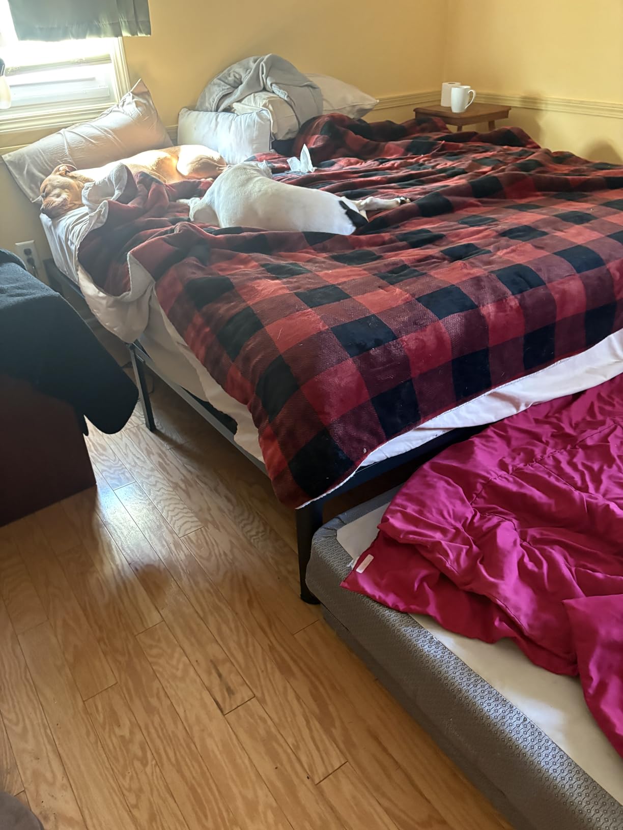 ROIL 14 Inch Queen Bed Frame with Rounded Corner & 4 Mattress Baffles customer photo 1