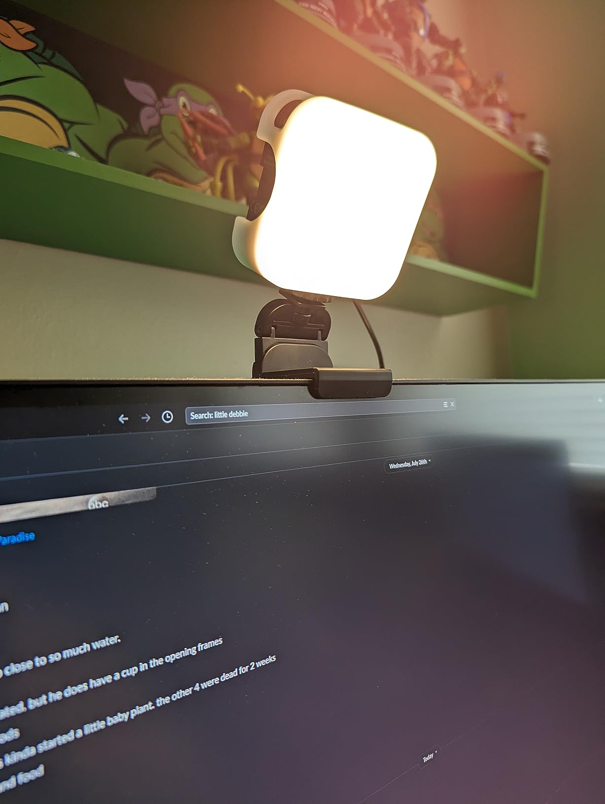 NEEWER LED Streaming Light with Windows & macOS Software Control, 2 in 1 Monitor Mount & Stand, Ultra Bright 2900K-7000K USB Laptop Computer Webcam Lighting for Video Conference, Zoom Call, PL81 PRO customer photo 2