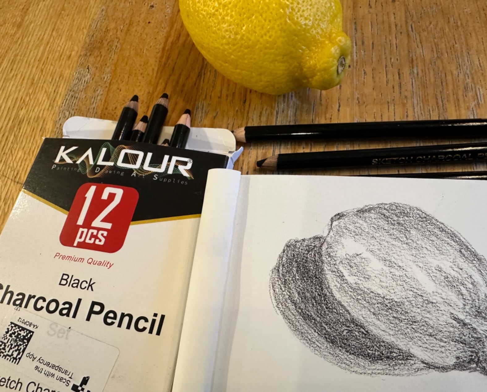 KALOUR Professional Charcoal Pencils Drawing Set -12 Pieces Soft, Medium and Hard Charcoal Pencils for Drawing, Sketching, Shading, Artist Pencils for Beginners & Artists customer photo 1