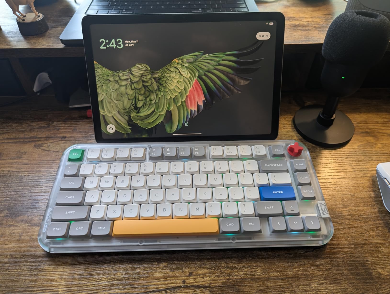 nuphy Kick75 Wireless Low Profile Mechanical Keyboard with Volume Knob,75% Hot Swappable Custom Keyboard,80 Keys RGB Backlit with PBT Keycaps,BT/2.4G/USB-C (Silver Nano Switch) customer photo 2