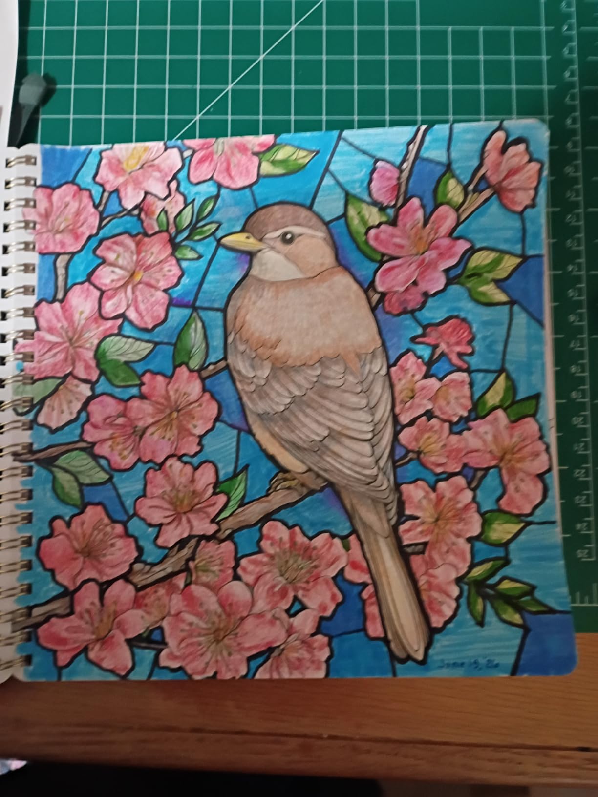 Women's Coloring Book for Adults 30 Pages Inspirational Quotes customer photo 1