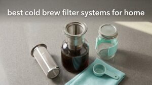best cold brew filter systems for home