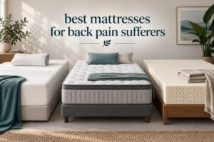 best mattresses for back pain sufferers